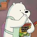 polar bear