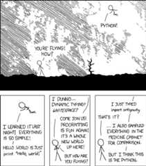 Flying with Python