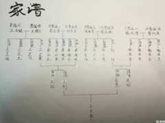 横版族谱还是竖版族谱？选择取决于需求与喜好