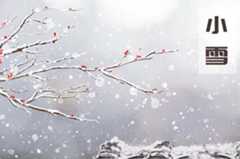 小雪节气养生