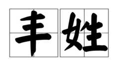 丰姓取名