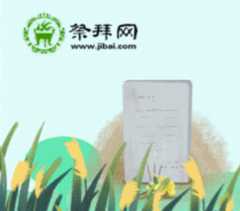 扫墓网都有哪些