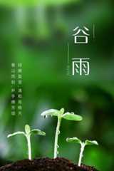 谷雨是什么时候