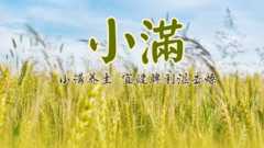 小满是怎么由来的？小满吃什么？