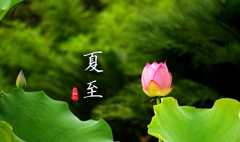 古人怎样过夏至：皇帝举行祭地宋代百官放假三天