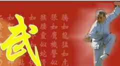 盘点中国48个武术之乡！你的家乡上榜了吗
