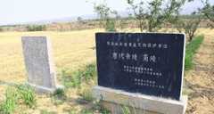 唐懿宗李漼怎么死的活了多少岁？唐懿宗陵墓在哪