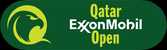 ATP Doha, Qatar Men Singles