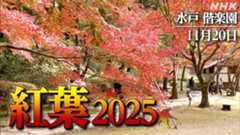 最新・注目の動画