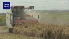 大規模生産者の農地面積 初めて全体の半分超に 農水省