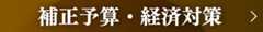 補正予算・経済対策