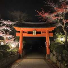 京都 祇園 ホテル 予約 のビデオをオンラインで再生