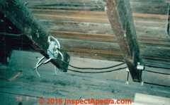 Improper extension to knob and tube wiring (C) Daniel Friedman InspectApedia.com