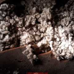 Mineral wool or rock wool insulation covering knob and tube electrical wiring (C) Inspectapedia.com JLTK