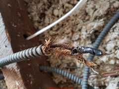 Old armored cable electrical wiring (C) InspectApedia.com Ken Old House Guy