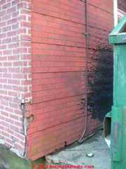 Damaged asphalt siding (C) Daniel Friedman