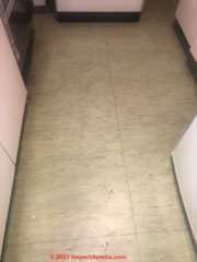 Bosnia Hercegovina Floor Tiles  (C) InspectApedia.com Dejan