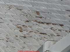 Antique metal shingle roof - Dove Ber Kahn at InspectApedia.com