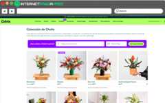 Web de Colvin