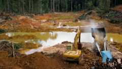 Image of a gold mining site