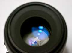 Choosing a Pentax 100mm macro auto-focus lens