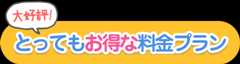 お得な料金プラン