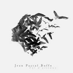 Vol d’oiseaux