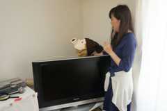 f:id:Arufa:20160526111247j:plain f:id:Arufa:20160526111247j:plain