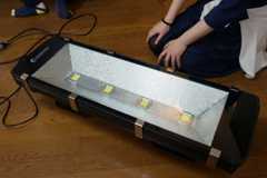 f:id:Arufa:20160526111301j:plain f:id:Arufa:20160526111301j:plain