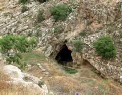 Figure 1. The cave of Qafzeh seen from the South. Behind the footbridge, we see the rocky threshold that separates the terrace from the cave.line.La grotte de Qafzeh vue du sud. On voit, derrière la passerelle, le seuil rocheux qui sépare la terrasse de la grotte.