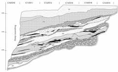 Figure 5. Profile of the Terrace showing the Middle Paleolithic stratigraphy. The layers I to XIV were reduced and only present against the wall of the cave. They probably have been removed during the Byzantine period. (Qafzeh archives).Stratigraphie du Palélithique moyen de la terrasse. Les couches I à XIV, très réduites, ne sont conservées que contre la paroi de la grotte. Elles ont probablement été détruites pendant l’occupation byzantine.