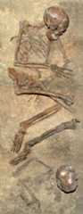 Figure 7. Reconstruction of the double burial of Qafzeh 9 and 10 (Qafzeh archives).Reconstitution de la sépulture double de Qafzeh 9 et 10.
