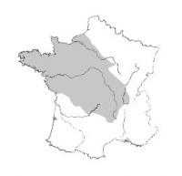 Localisation de l'étude