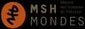 Logo MSH Mondes