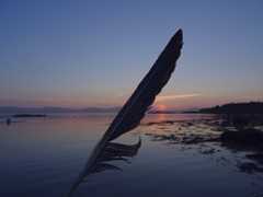 Image of Jura Passenger Ferry events