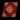 The Elven Bandanna sprite