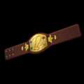 Champion Belt