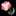 Curative Flower