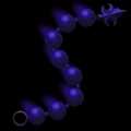 Dark Chain