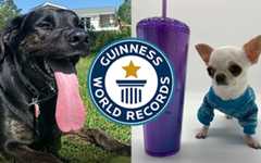 COOLEST ANIMAL RECORDS OF 2023