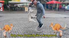 man jumping with dog that looks like a kangaroo