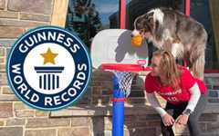 This dog is a slam dunk champion!