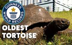 How old is the OLDEST LAND ANIMAL?