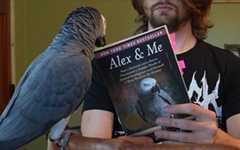 Genius parrot smashes world record!