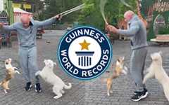 Dogs and owner skipping together