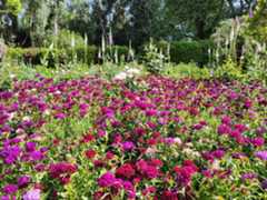 Getting the most out of a garden visit