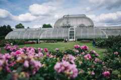 Rhapsody in Kew