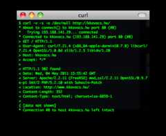 curl screenshot