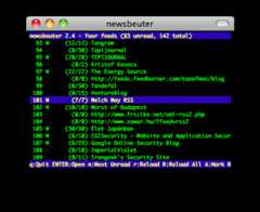 newsbeuter screenshot