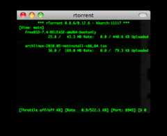 rtorrent screenshot
